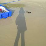 Jungheung Restaurant